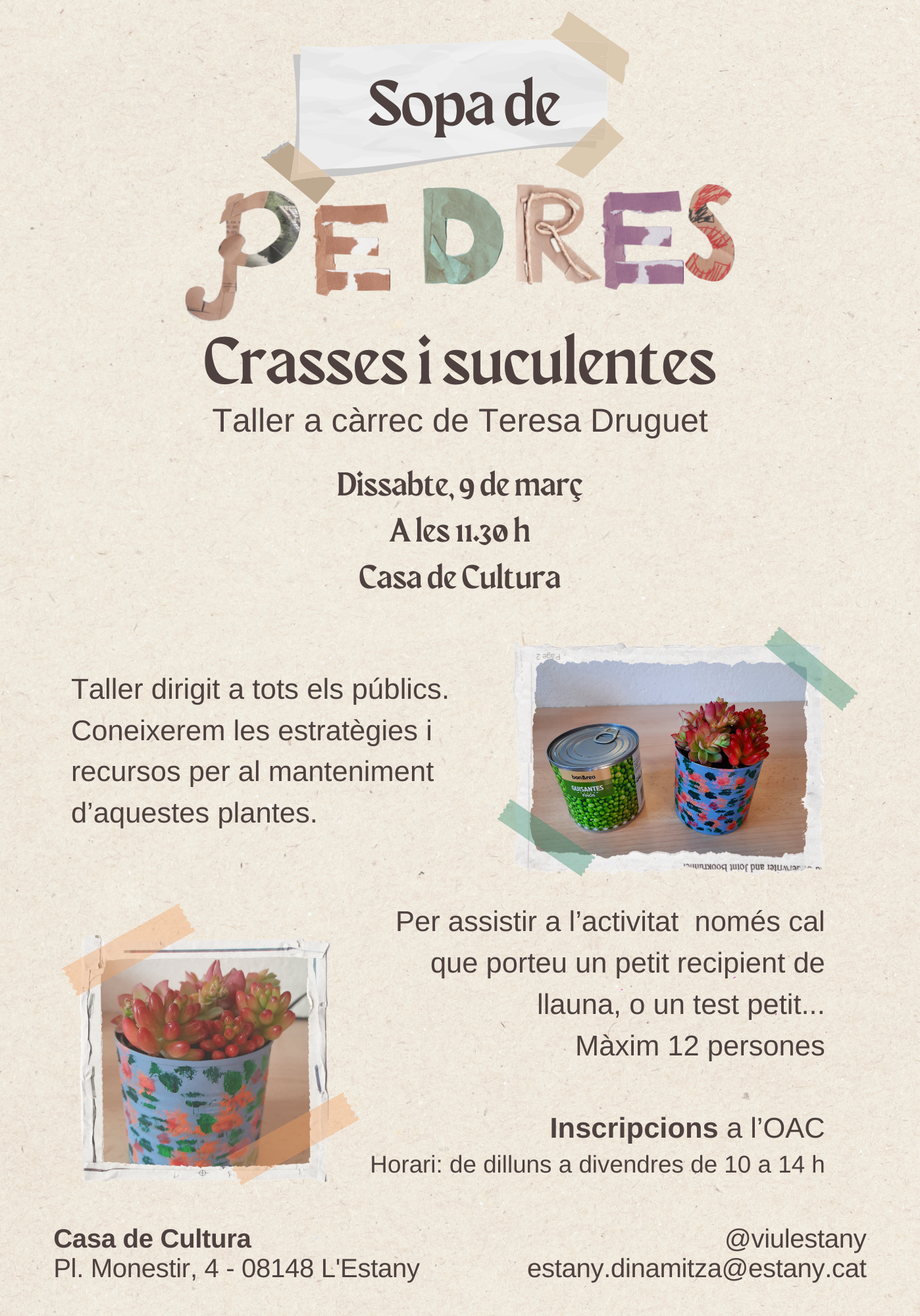 Taller de plantes crasses i suculentes