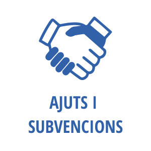 2. AJUTS I SUBVENCIONS