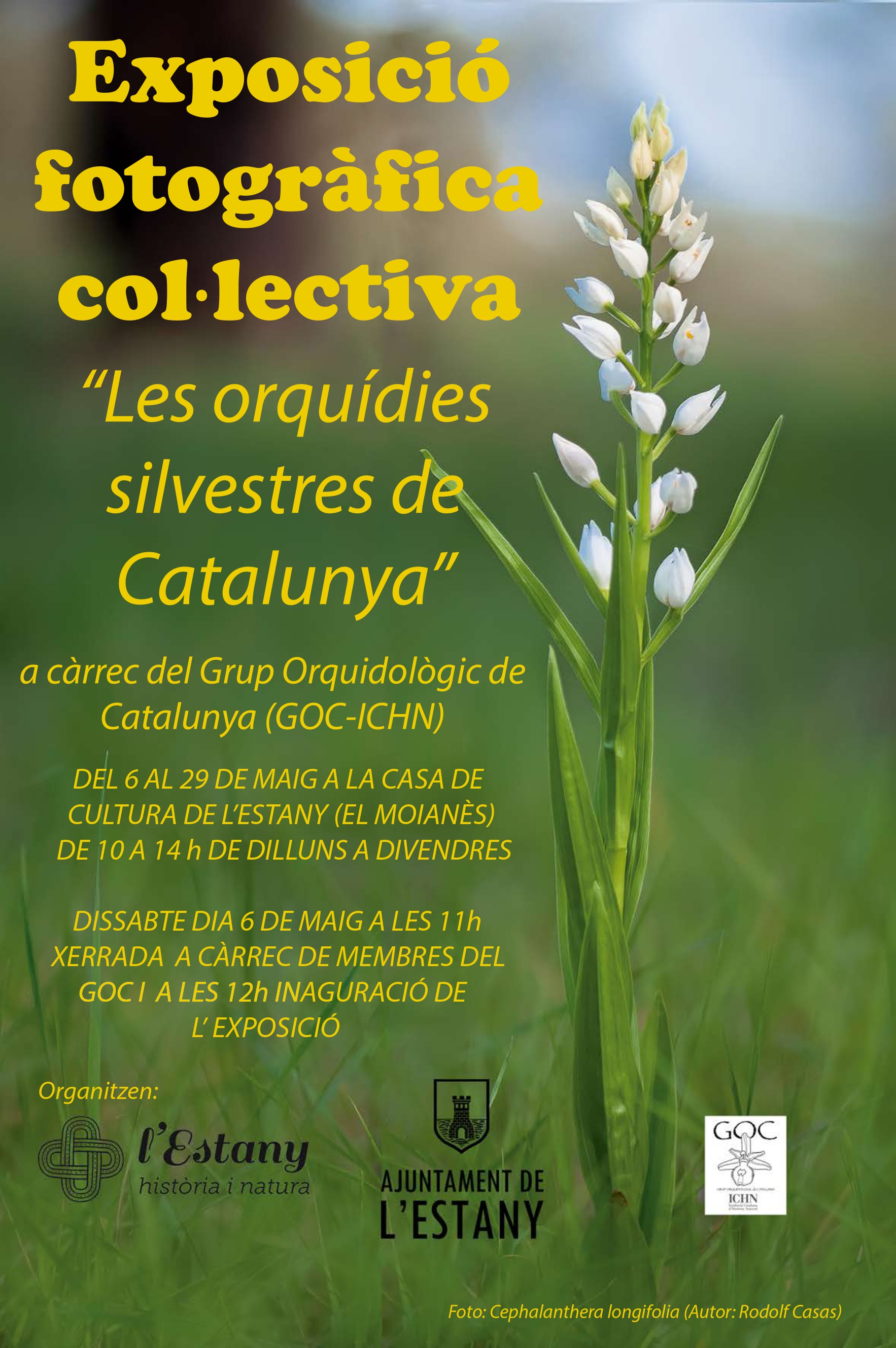 EXPOSICIÓ 